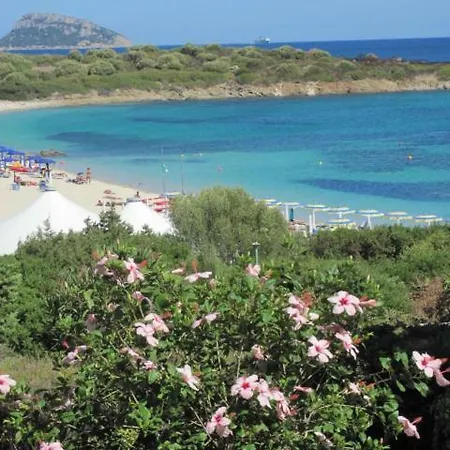 Dom wakacyjny La Casa Di Teresa-villetta A 50 Mt Dal Mare *